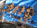 img_1734_0020_0020